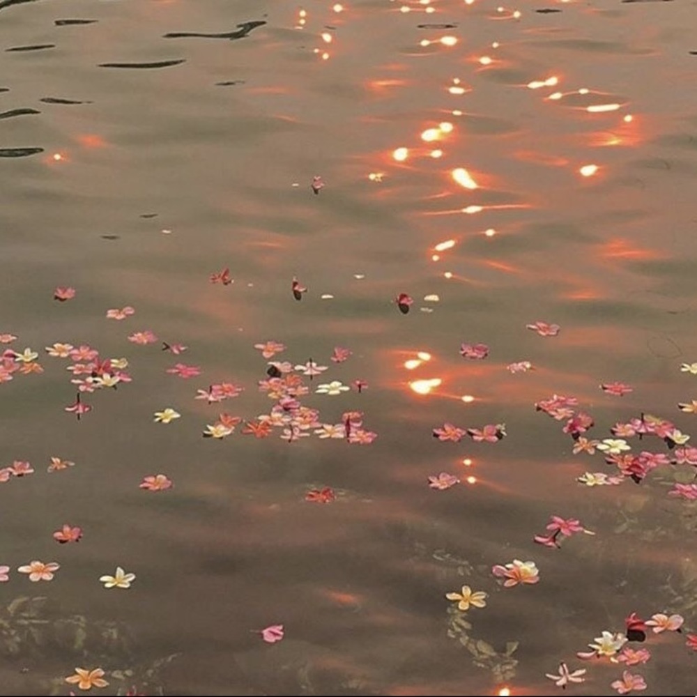 𝚂𝚘𝚕𝚍 𝚋𝚎𝚢𝚘𝚗𝚍 𝚝𝚑𝚒𝚜 𝚙𝚘𝚒𝚗𝚝!